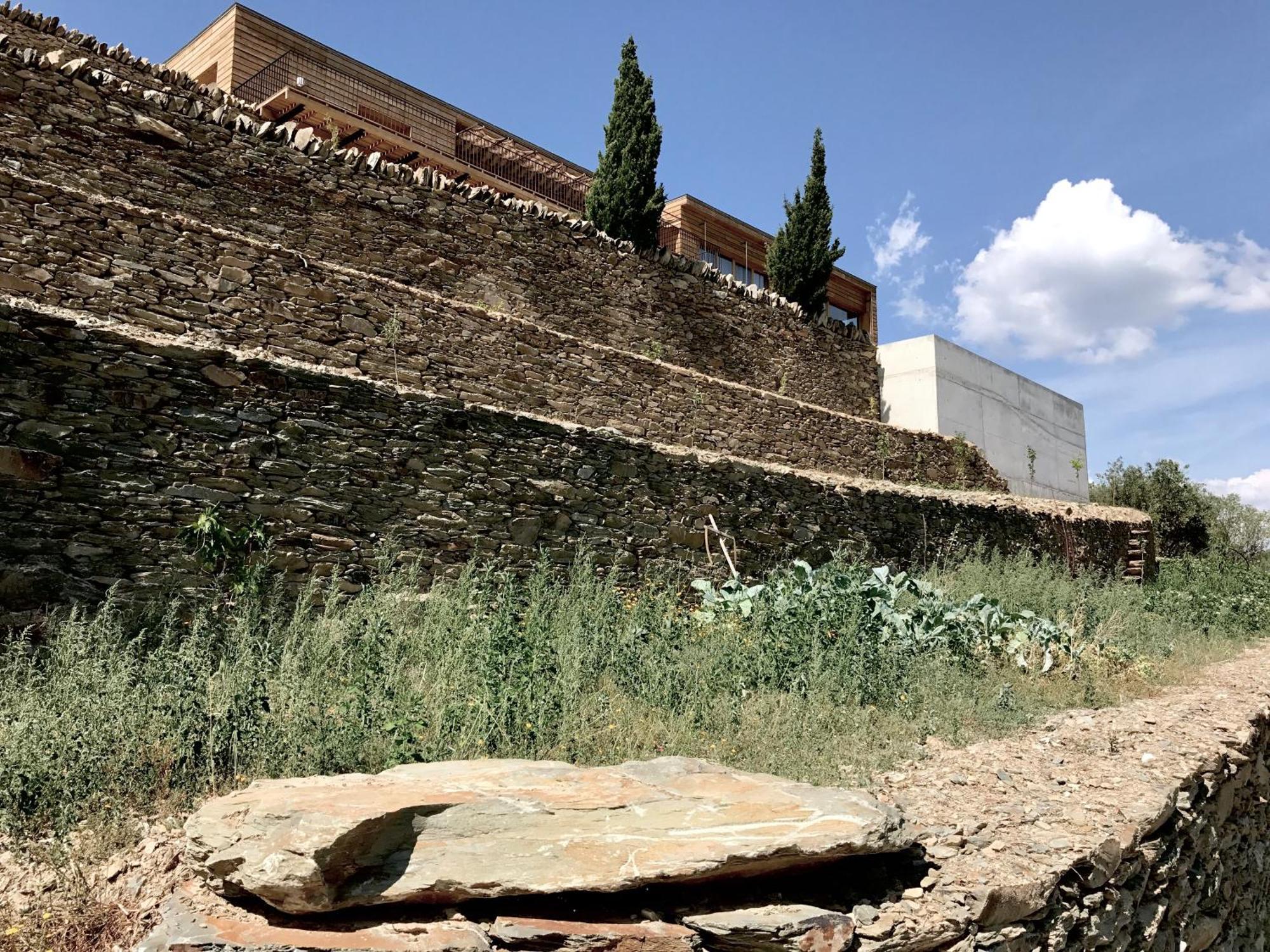 Quinta De Santa Marinha Vendégház Castedo Kültér fotó